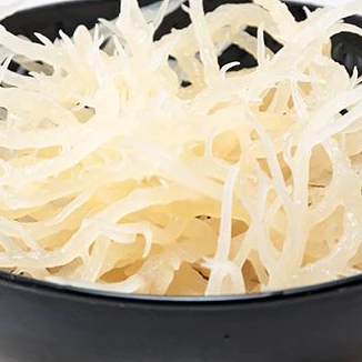 Rumput Laut Simposium 1 Kg Kenyal dan Padat Nutrisi Sea Moss Super Food Seaweds - Image 3